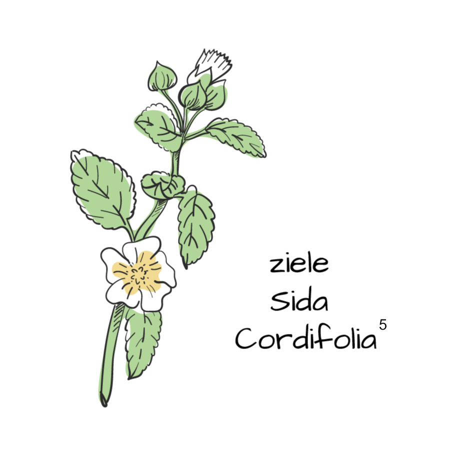 Ziele Sida Cordifolia